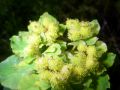 2010 05 24 jeanmarcperfetti.com 023.JPG